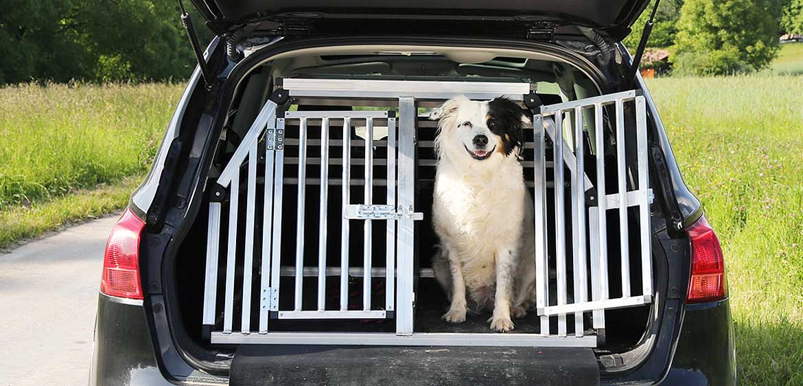 WIS Hundetransportbox aus Aluminium Hundebox für den Transport Kleiner Hunde Silber-Schwarz für PKW Kofferraum 